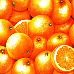Farmer John's Market : Appelsiner