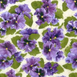 Lovely Pansies : 1444-2