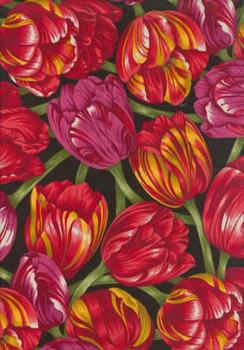 Renaissance : Mørke Tulipaner