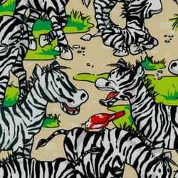 Zany Zoo : zebra