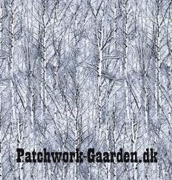 Icy Trees : Vinter skov