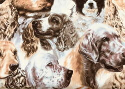 NEDSAT :  Best of shows : Packed spaniels.