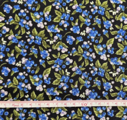 Farmer John's Mini market - Blåbær