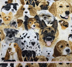 Best of Show - Hvalp. - rest 175 x krkr0 cm