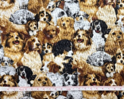 Friendly 4 Paws : Hunde