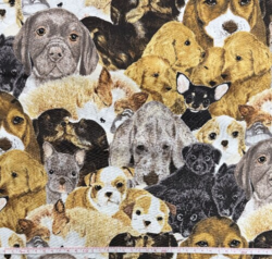 Puppy love : Hundehvalpe