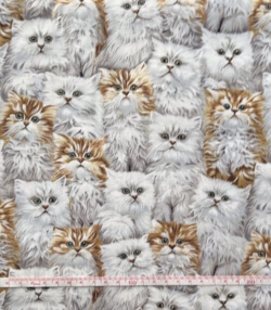 Best of Show - katte