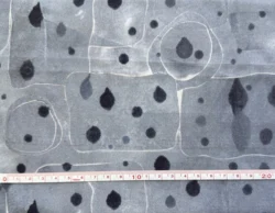 Clips fra Freespirit.