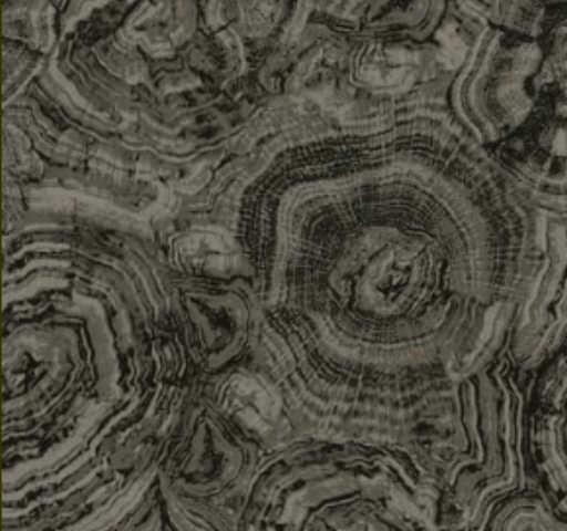 Stonehenge Woodland : Træ