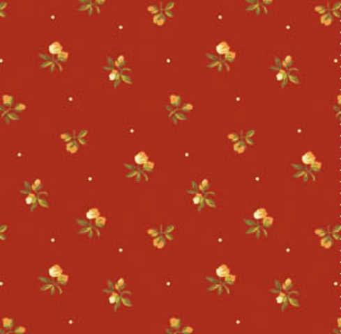 Chrysanthemum : Rødbrun