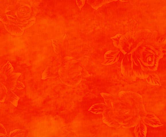 Quilters Rose : Orange