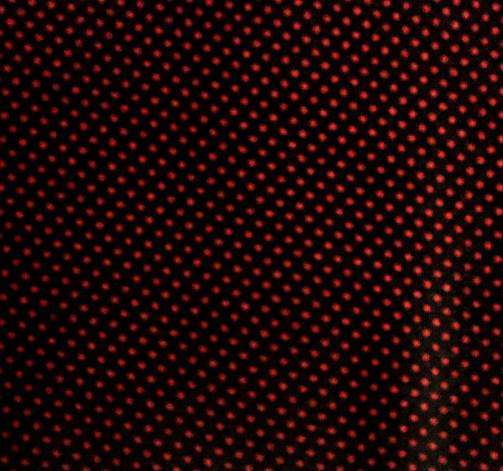 Essential Micro dots : sort med røde prikker