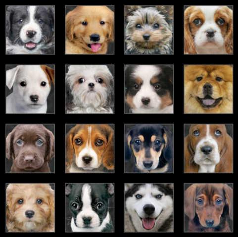 Adorable Pets - Hunde portrætter