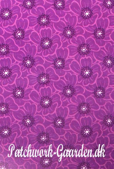 Purple Passion : Lilla blomster
