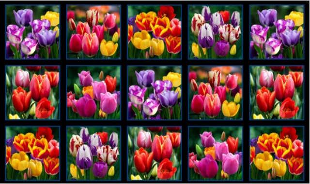 Digital Garden - Tulipaner panel