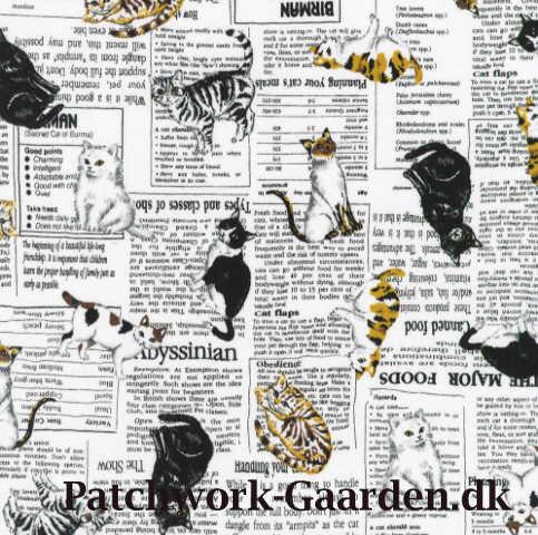 Whiskers & Tails : Aviser og ktte