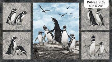 MAGDALENA : Pingviner - Panel