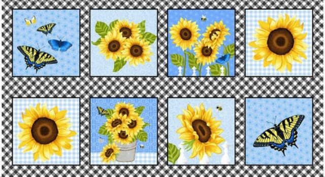 Sunny Sunflowers : Billeder