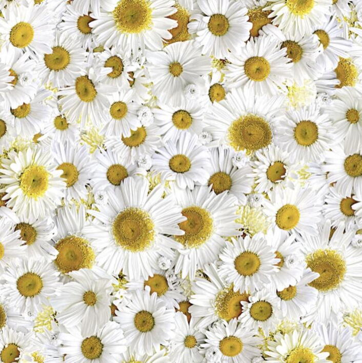 Handpicked. forget Me Not - Daisies