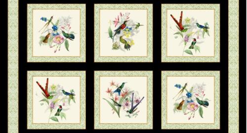 Hummingbird Heaven : billeder