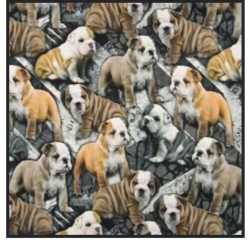 Jersey stof - Print med engelsk bulldog-Grumpy Dogs