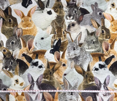 Trixie - Kaniner - 140 cm bredt