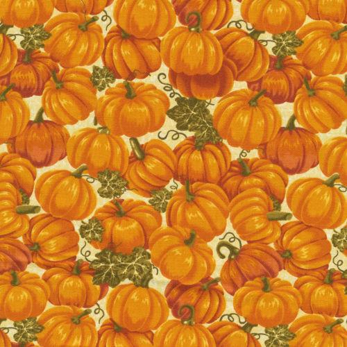 Harvest Time : pumpkins
