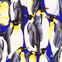 Living Wonders : Pingviner