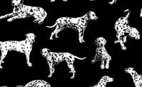 Hook & Ladder : Dalmatiner hunde