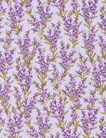 Lavender : Lavendel
