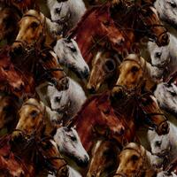 World of horses : Heste