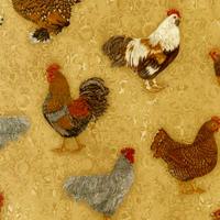 Prized Poultry : Høns