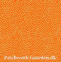 Garden Pindot : Orange