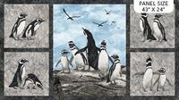 MAGDALENA : Pingviner - Panel
