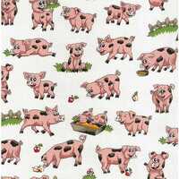 Farm Fun - Pigs