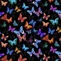 Mariposa : sommerfugle