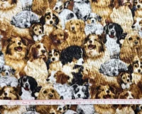 Friendly 4 Paws : Hunde