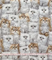 Best of Show - katte